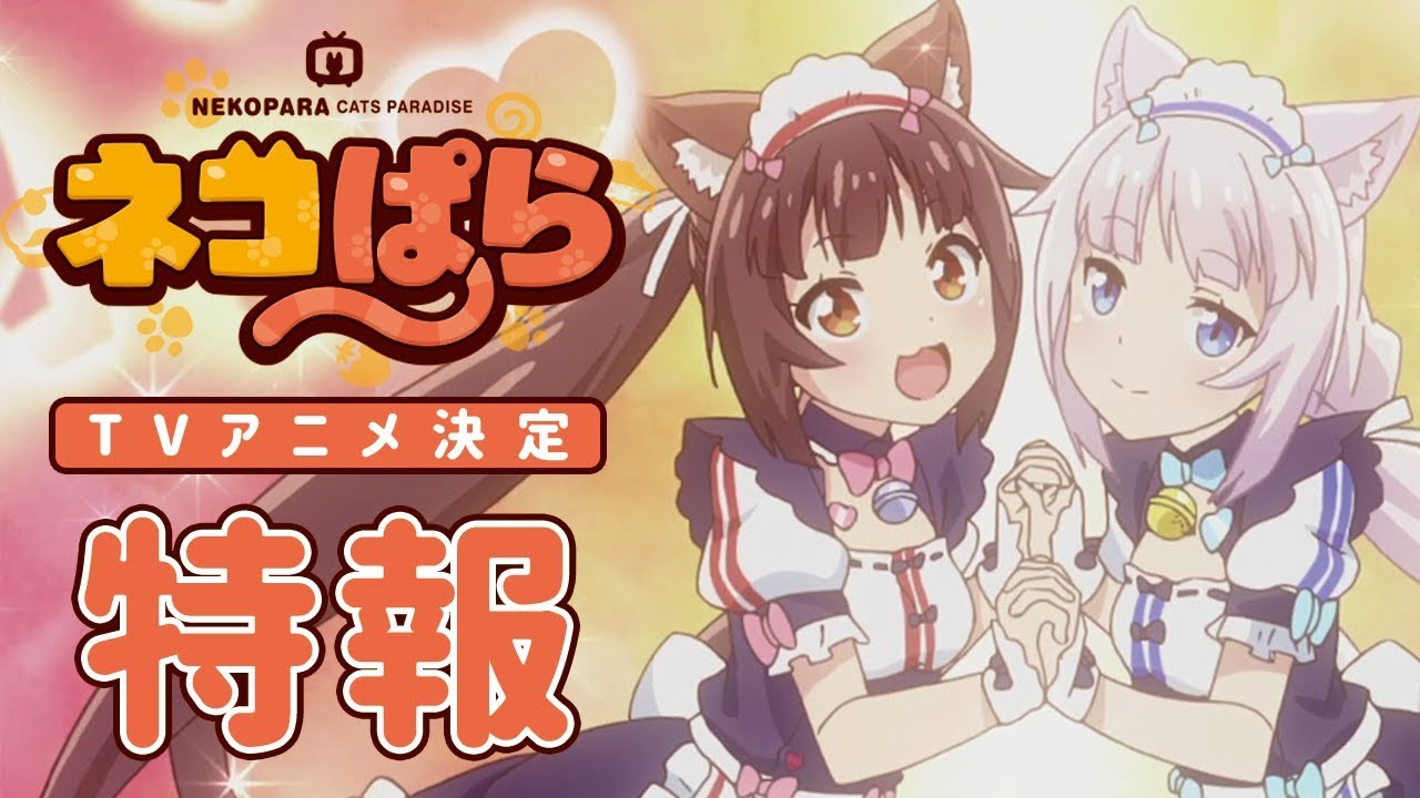 「ネコぱら」  TVアニメ化決定！特報映像