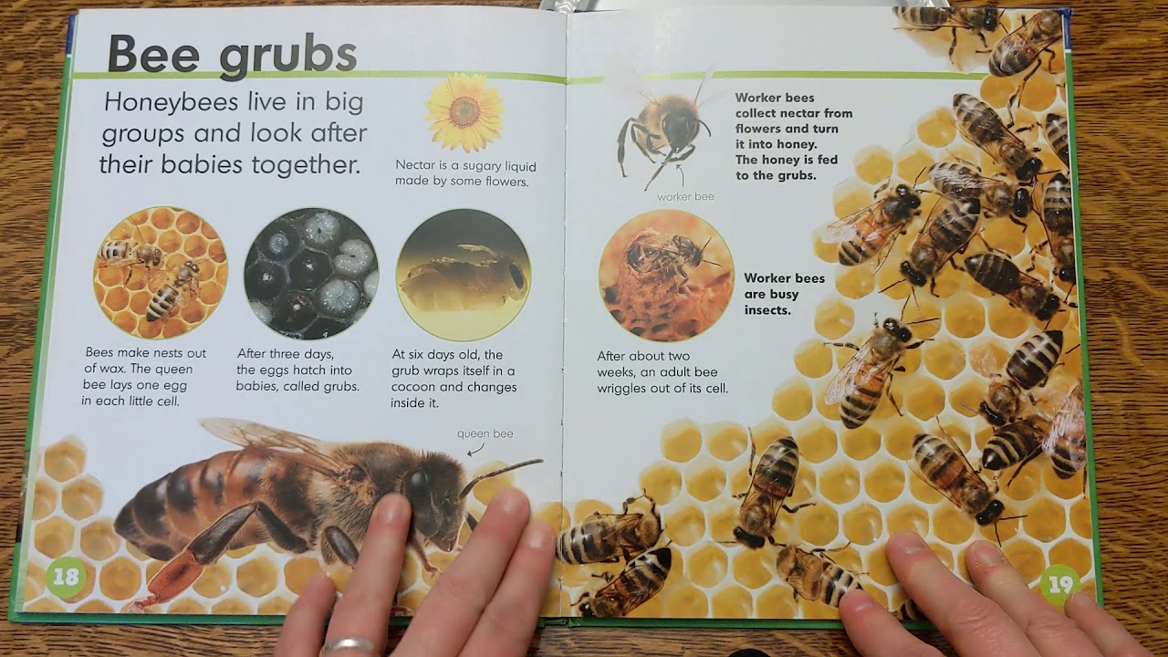 See Me Grow book