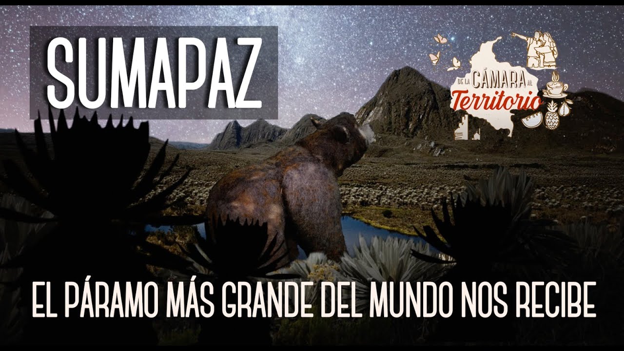 Sumapaz 🎥 De la Cámara al Territorio