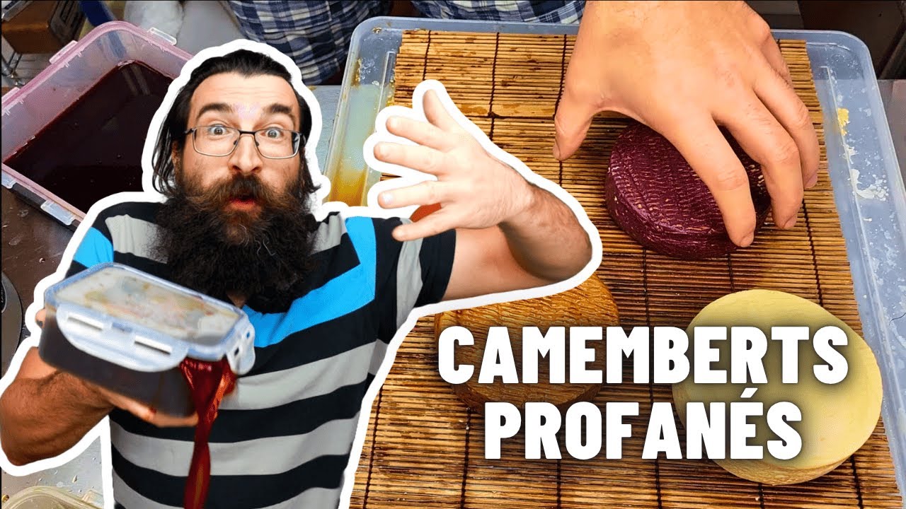Pourquoi j’ai fait ça à mes camemberts ?!