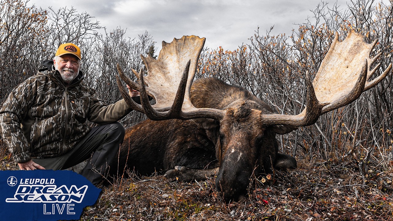 Just Go. An Adventure Hunting Giant Yukon Moose | Dream Season Live