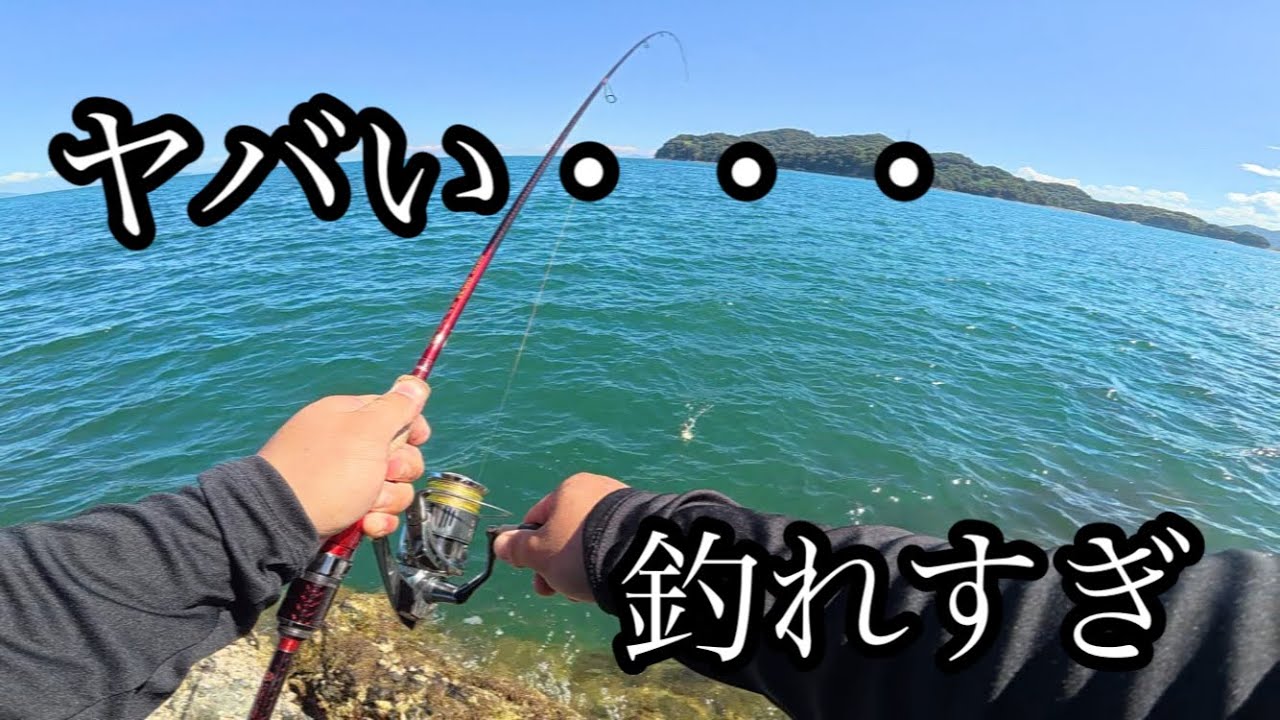 【エギング】秋イカにこのエギ投げたら釣れすぎて困ります