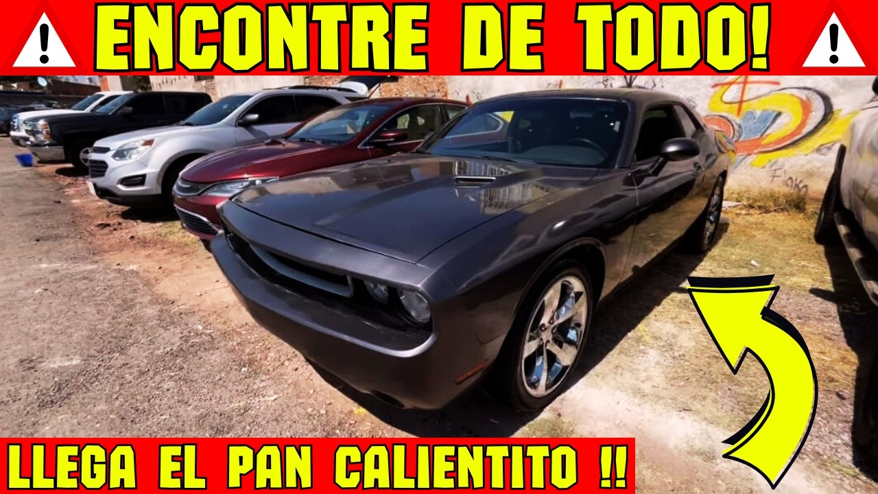 Lo que va llegando de USA 🇺🇸 Video súper SURTIDO 