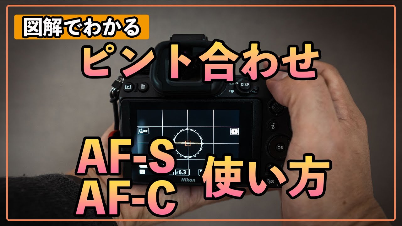 【初心者カメラ講座】図解でわかるAF-SとAF-Cの違いと使い方