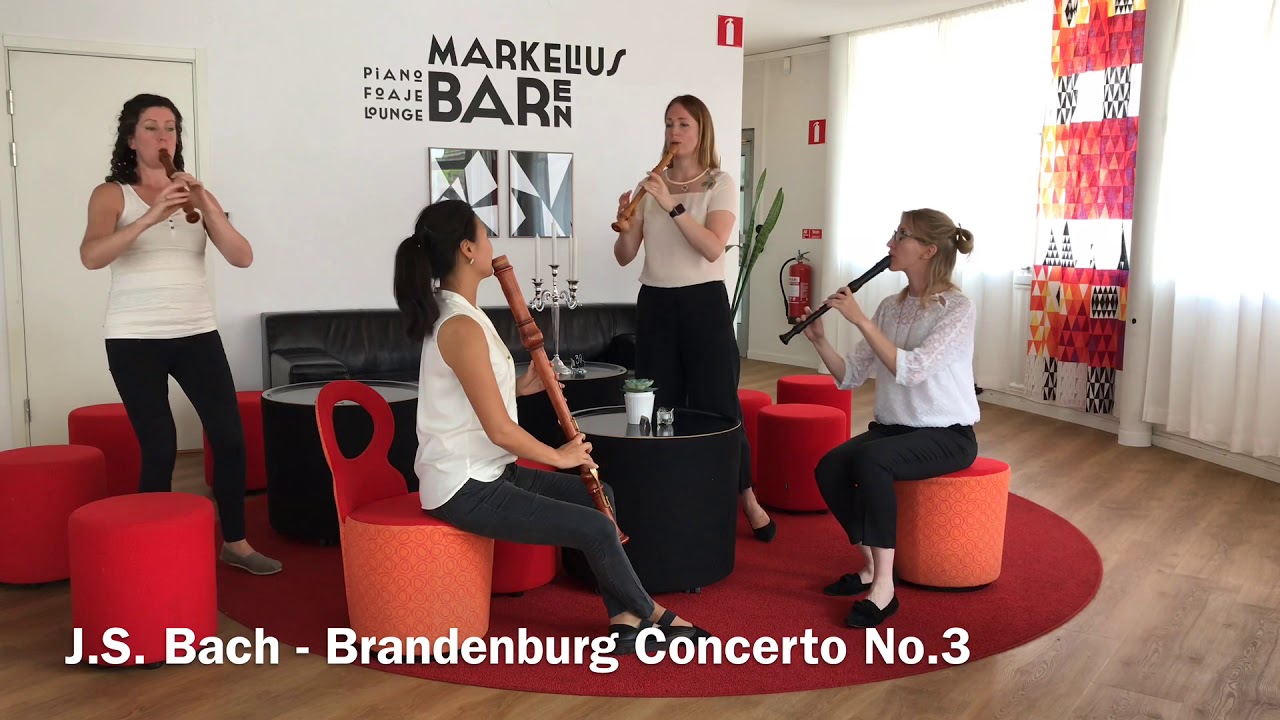 Woodpeckers play Bach - Brandenburg Concerto No.3 Allegro
