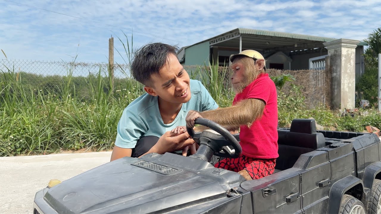Super Funny! Cutis Find Every Unexpected Way To Go Market With Dad!