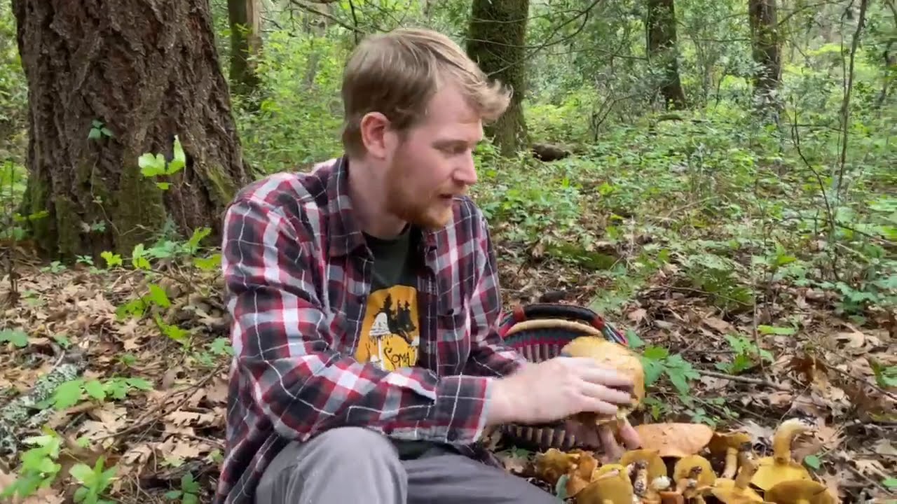Foraging for 