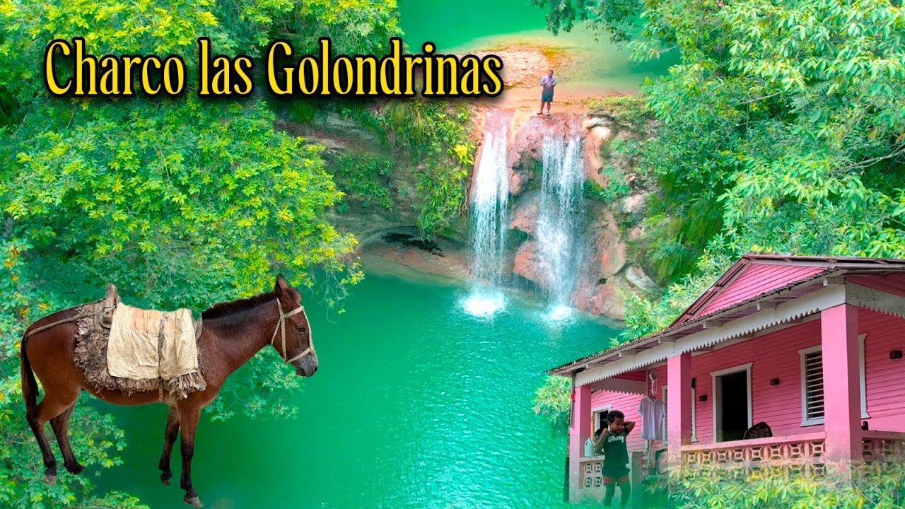 EN EL CAMPO PALO BLANCO ARRIBA  DE REPUBLICA DOMINICANA  HAY UN LUGAR INCREIBLE