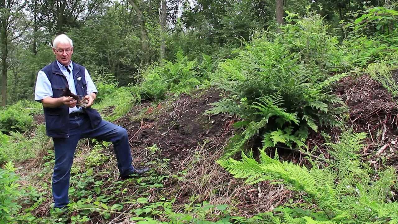 Veen - Kienhout