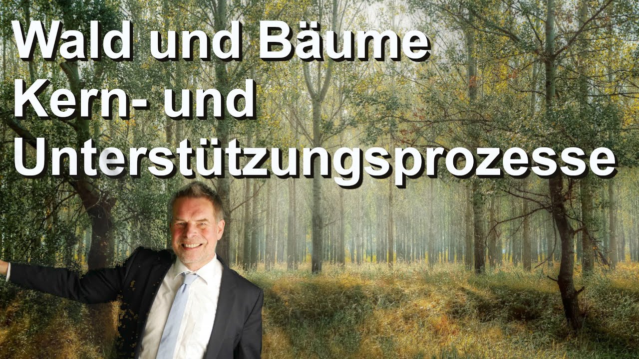 Was ist ein Prozess? - Führungsprozesse, Kernprozesse und Unterstützungsprozesse