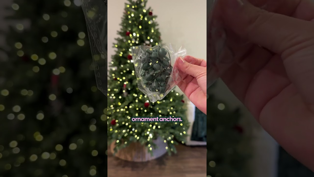 Top 3 Pet-Safe Christmas Decor Hacks | The Pack