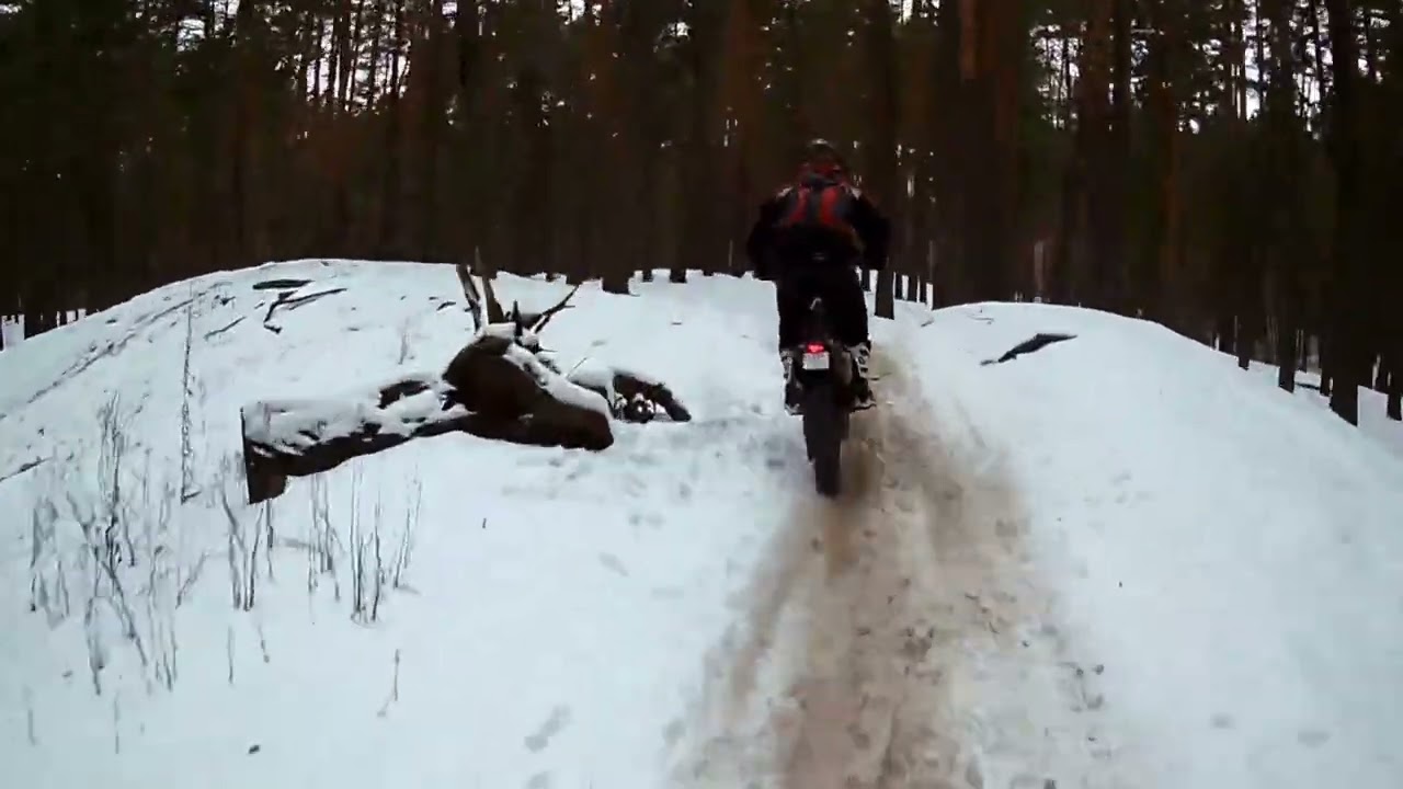04.01.26 Ялинка