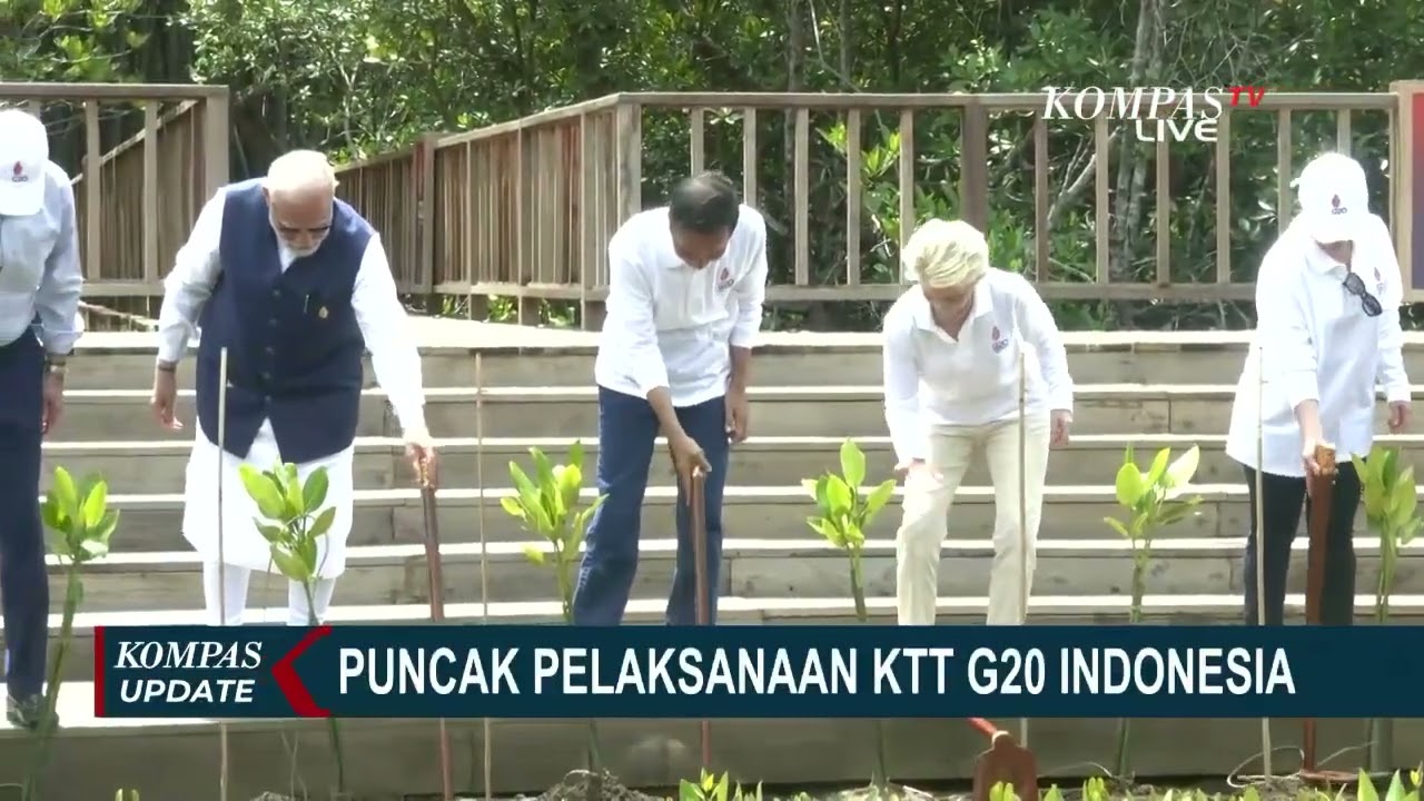 Presiden Joko Widodo Ajak Pemimpin Negara G20 Jalan Jalan ke Tahura Mangrove Bali