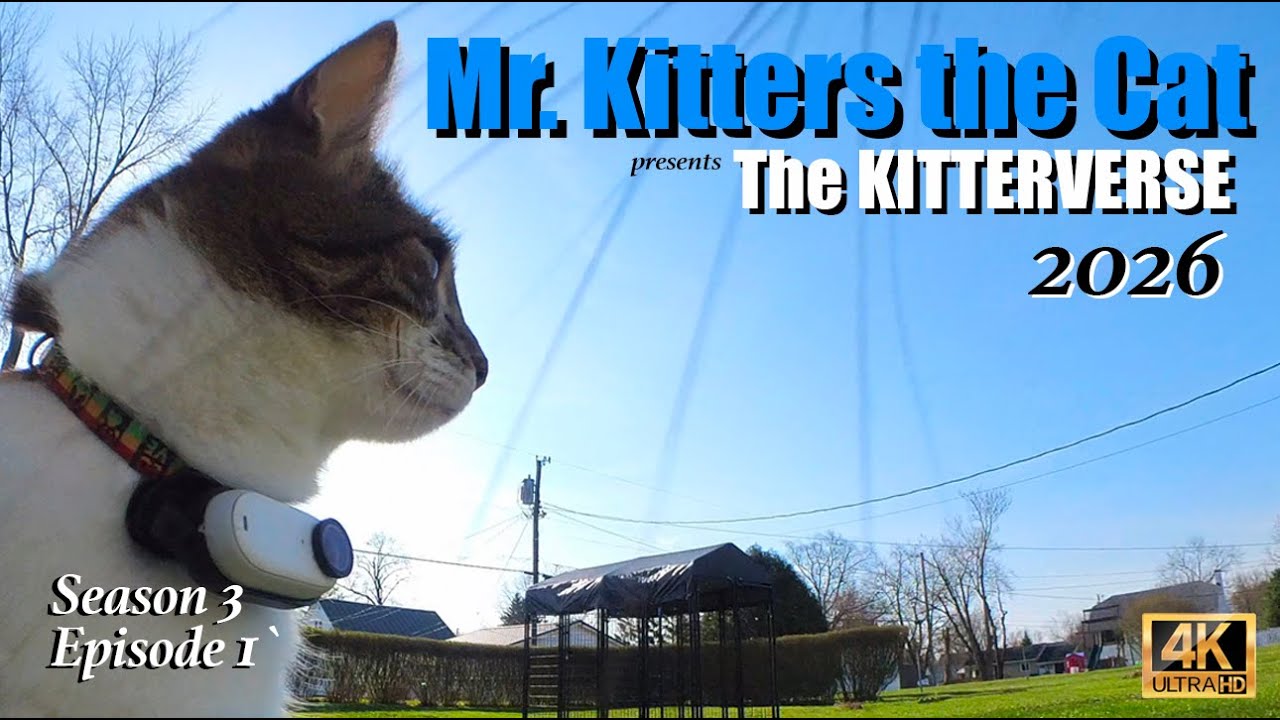 Mr. Kitters the Cat presents Welcome 2026!🍾 🎉📣🐈 Season 3 Episode 1