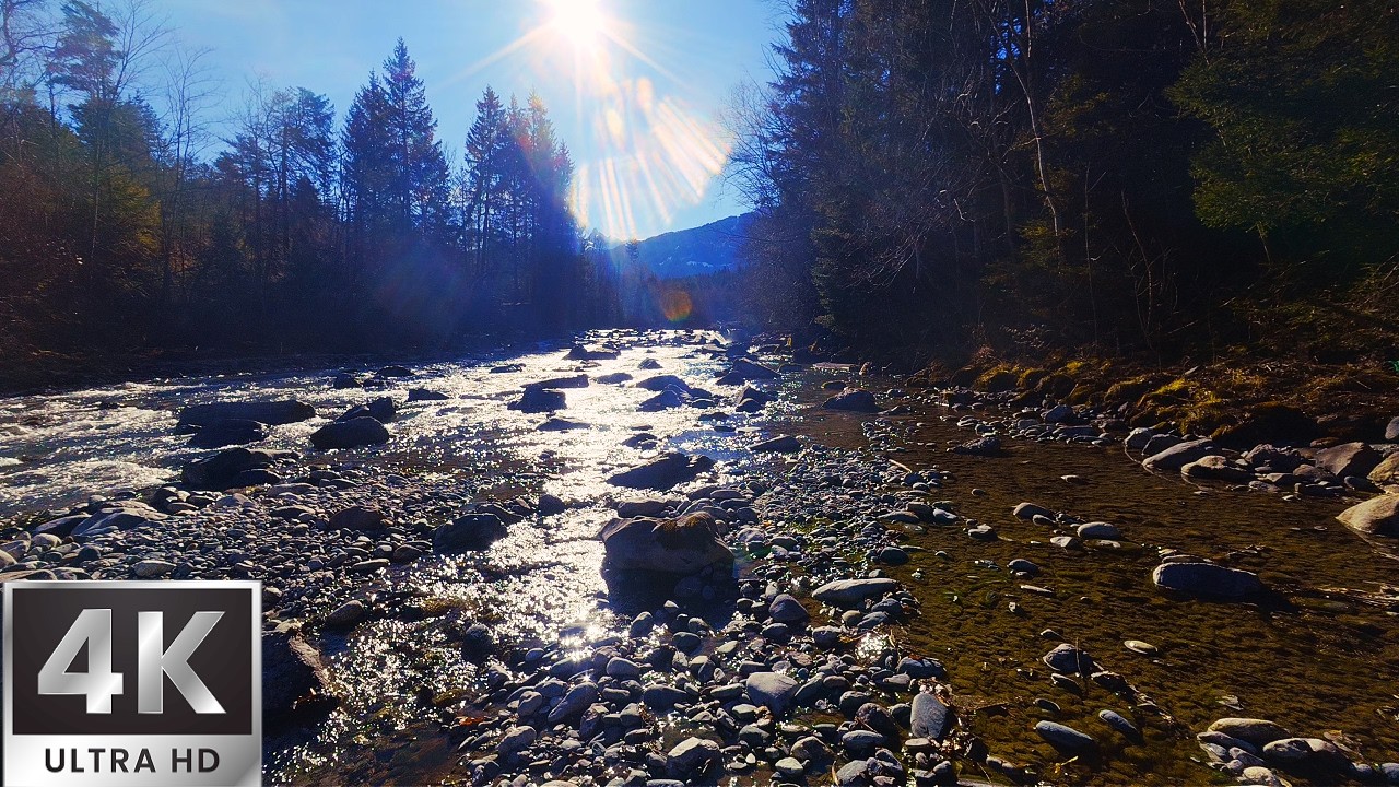 Flowing River with Warm Sunlight – ASMR Water Ambience for Relaxation & Better Sleep
