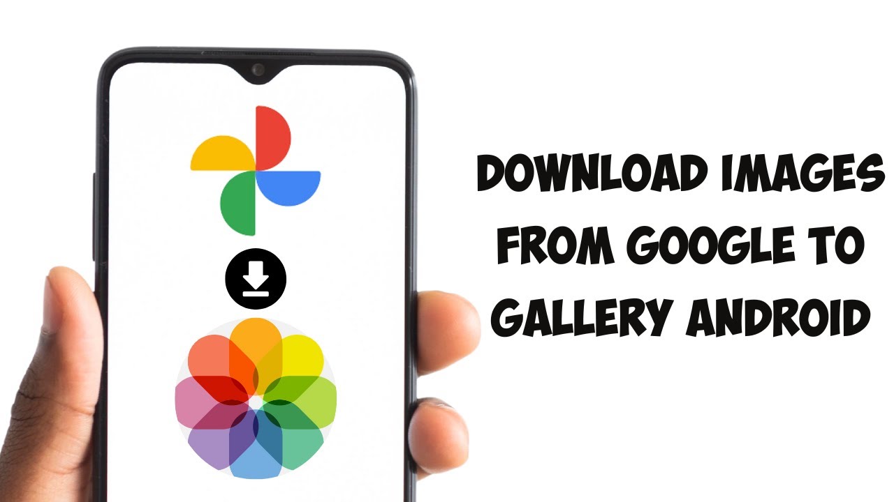 How To Download Images From Google To Gallery Android