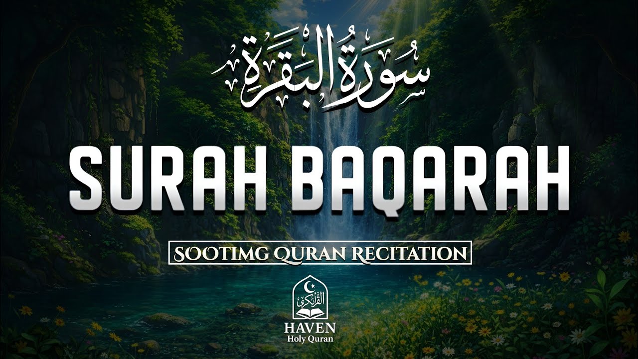 Surah Al-Baqarah (سورة البقرة) Full Recitation | Powerful Quran Tilawah for Protection & Blessings |