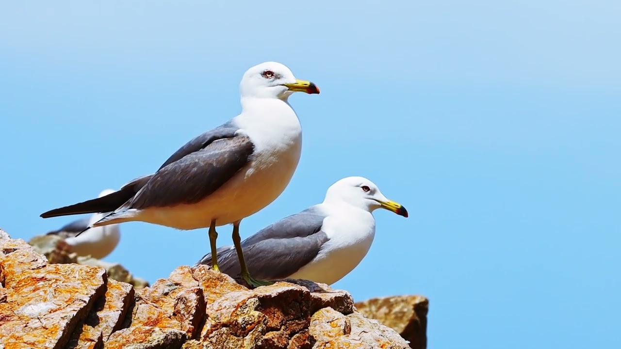 The Space Between The Waves Podcast We Don't all fly The Same