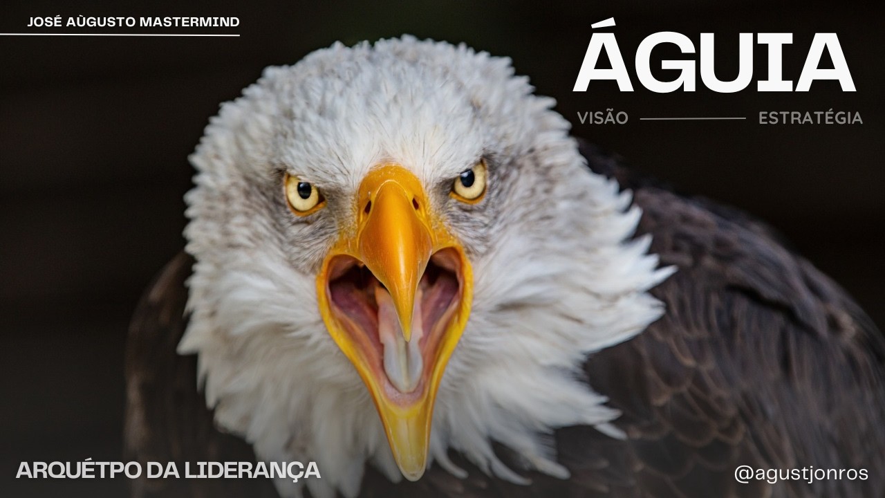 O poder do arquétipo da ÁGUIA ➡ Os verdadeiros sons ➡ Eagle Archetype