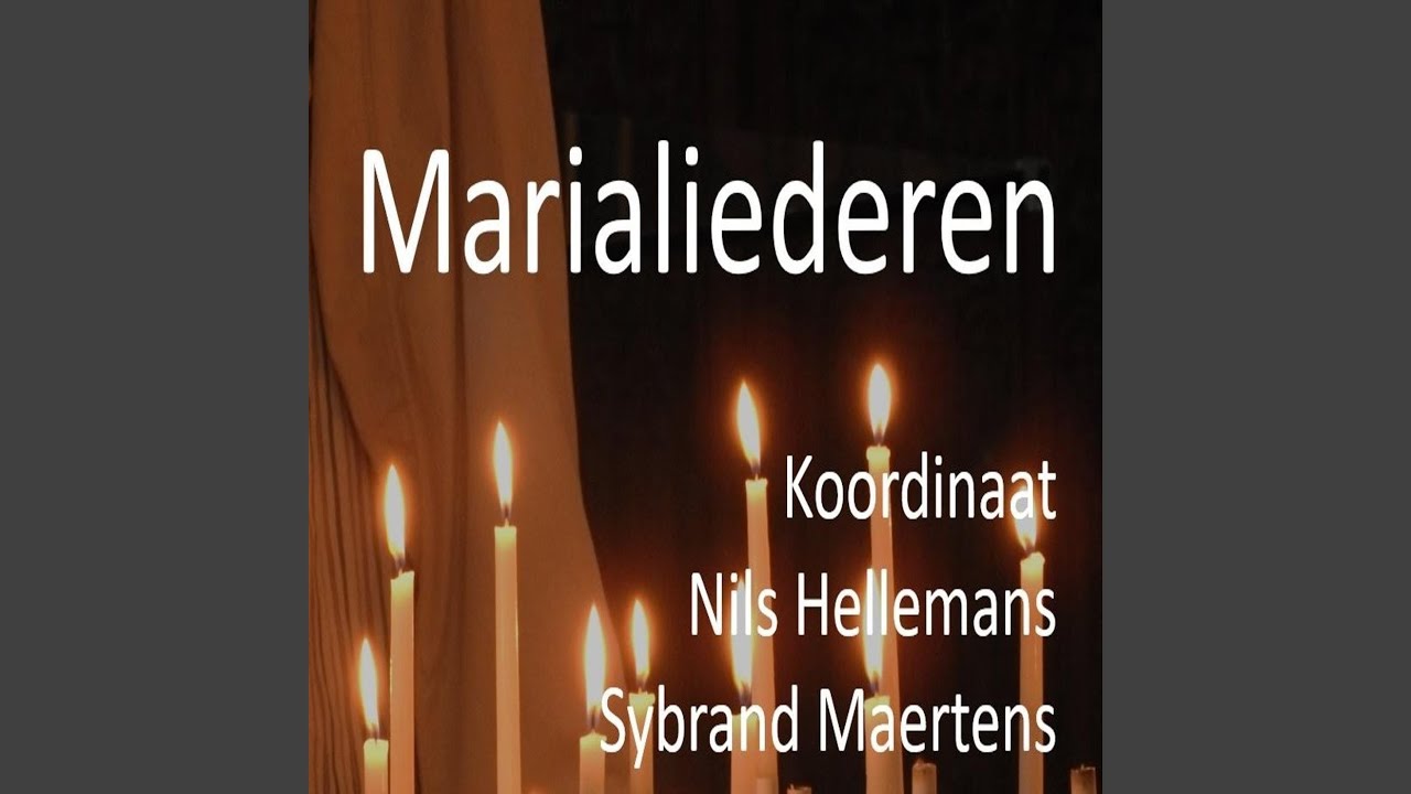 Te Lourdes Op De Bergen