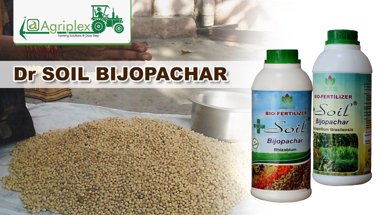 How to do Organic Seed Treatment by Dr Soil Bijopachar?