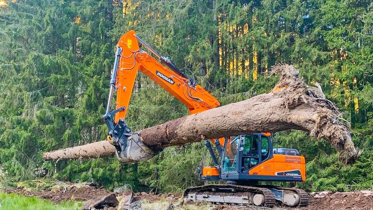 CANTIERE FORESTALE🌲⚠️con DOOSAN DX235 + HITACHI 180