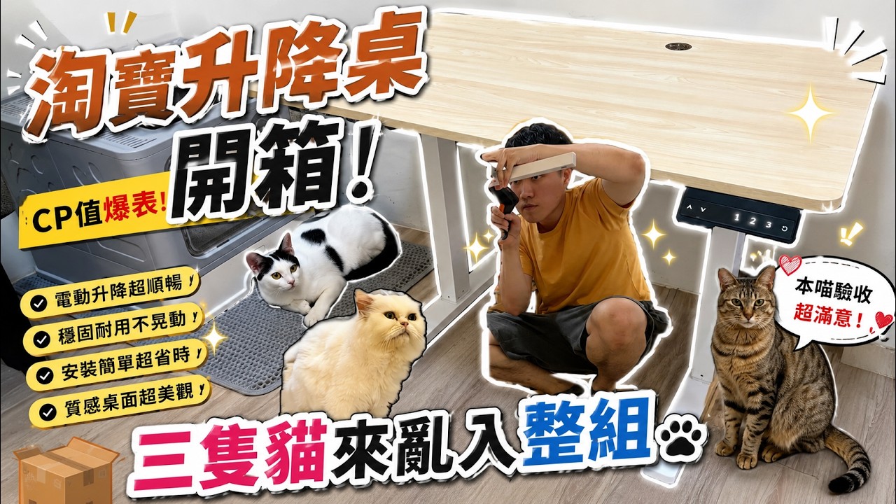 淘寶升降桌開箱｜CP值爆表！三隻貓來亂入整組😂｜Moses’s Diary