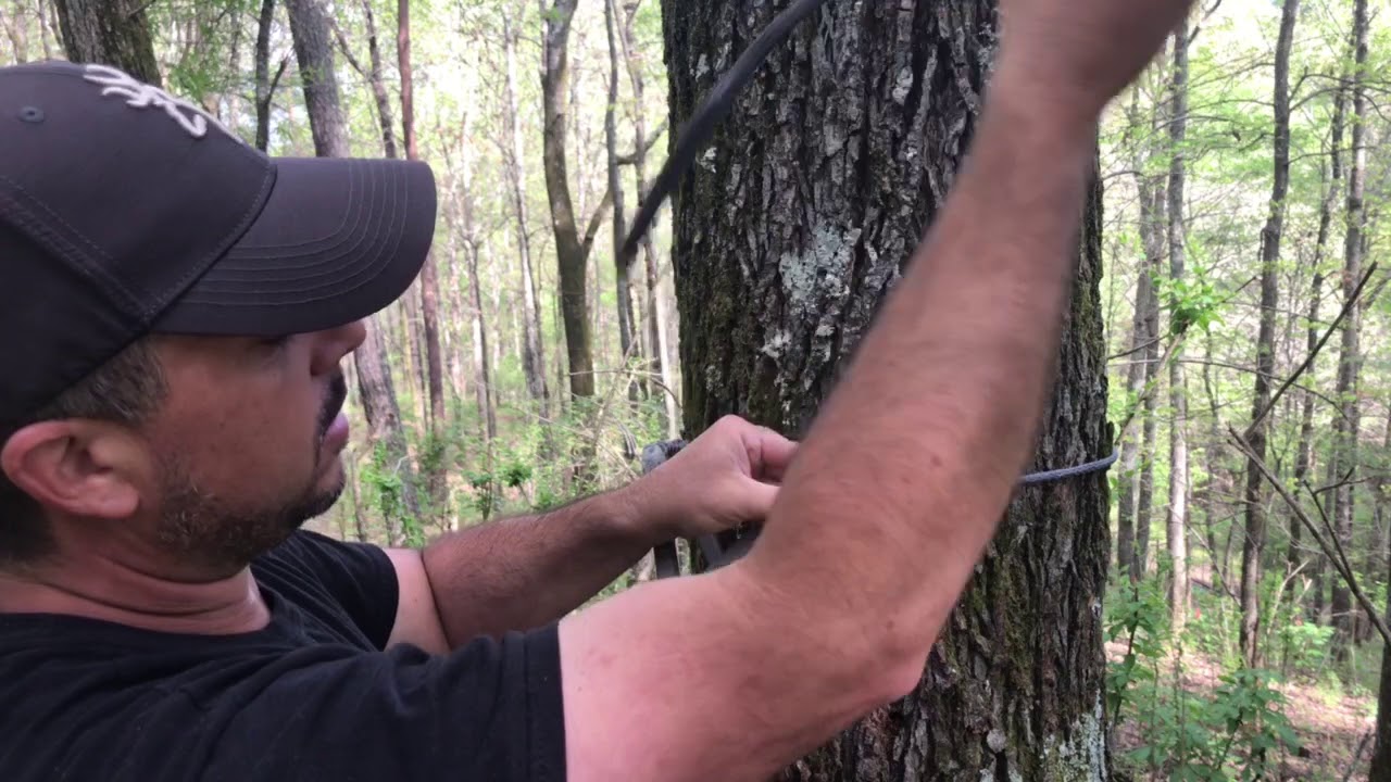Wild Edge Stepps Modifications