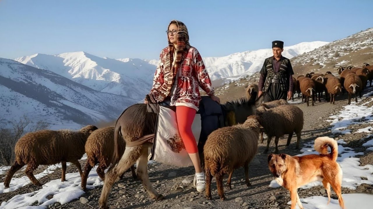 I Just Rode the Donkey… It Took the Sheep to the Pasture by Itself