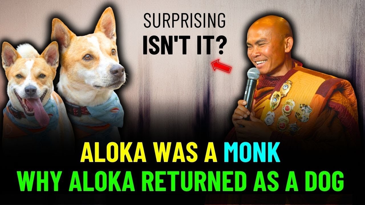 Aloka Was A Monk In His Past Life - The Heartbreaking Reason Aloka Was Reborn As A Dog