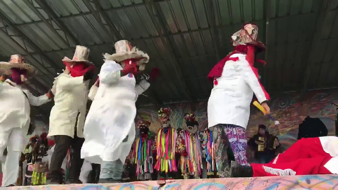 Capra de la Enachesti 2018-2019