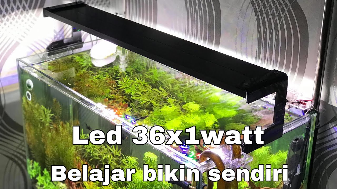 Led HPL 36 x 1 watt untuk aquascape