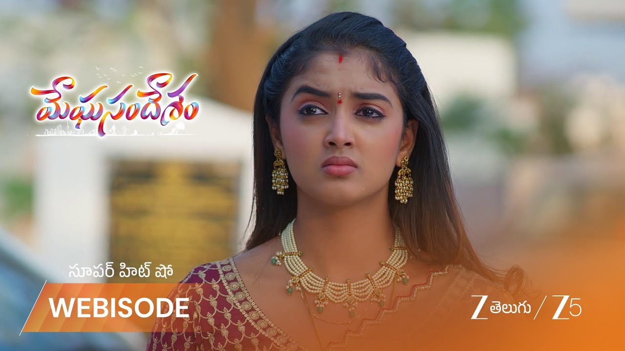 MEGHASANDESAM | శరత్ చంద్ర గతం గురించి తెలిసి భూమి షాక్ అయిందా?