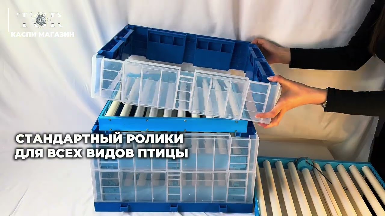 Инкубатор Fermer для 256 яйц(синий)