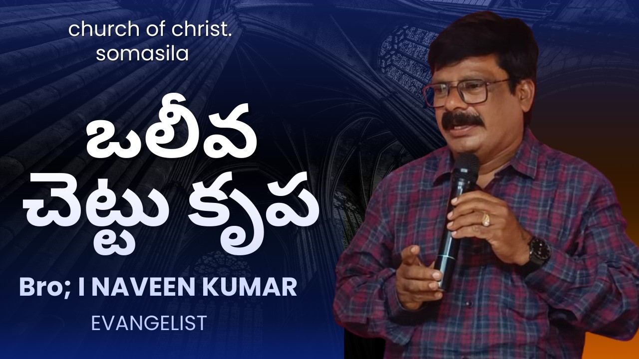 ఒలీవ చెట్టు కృప//  by BROTHER NAVEEN KUMAR SOMASILA  PROJECT