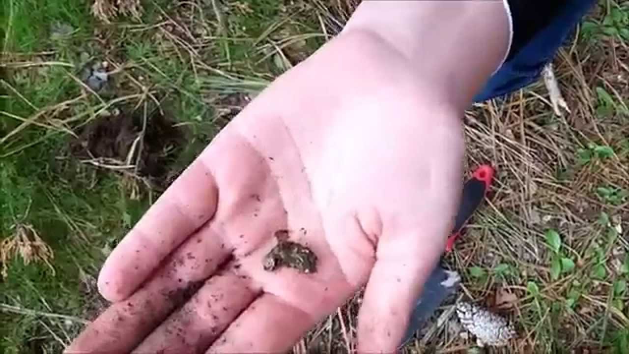 #7 Metal detecting campground and parks in Montana.