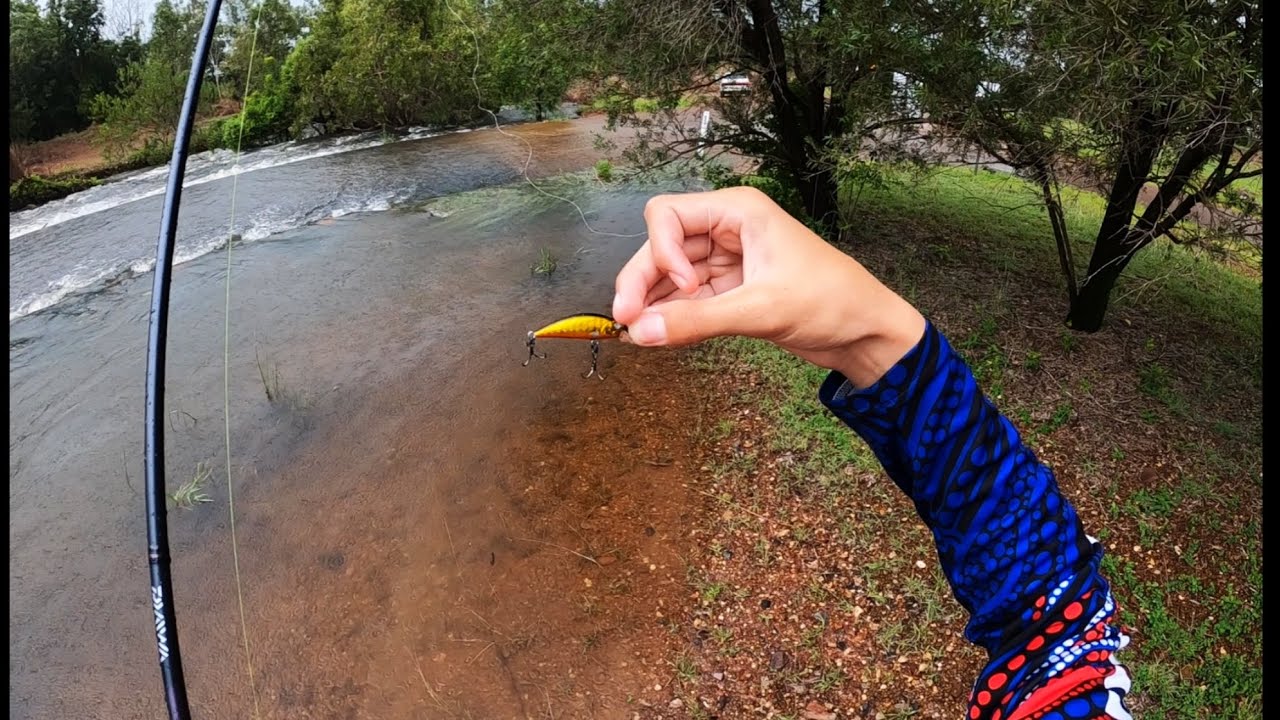 CRAZY fishing session in TINY creek in the NT!! pt 2