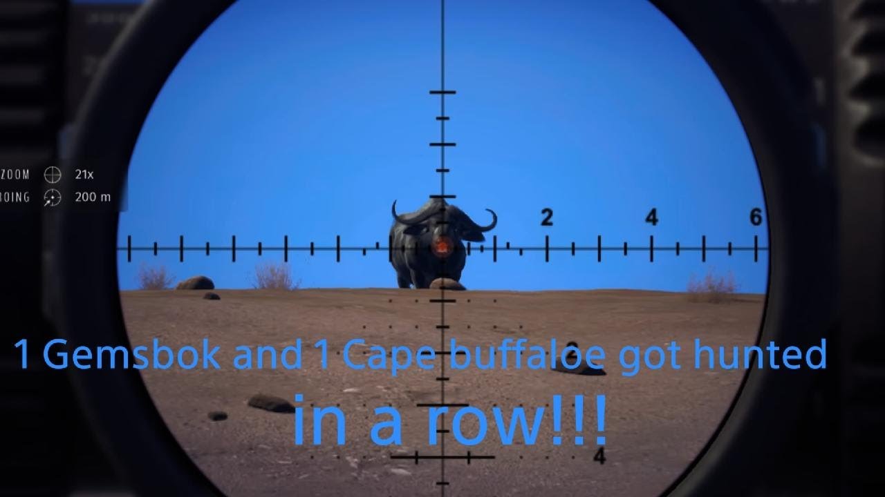 Way of the Hunter (1 gemsbok and 1 Cape buffaloe got hunted in a row)