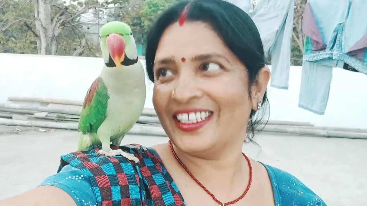 टूटू का बदमाशी #funny #cute 🥱😃😃