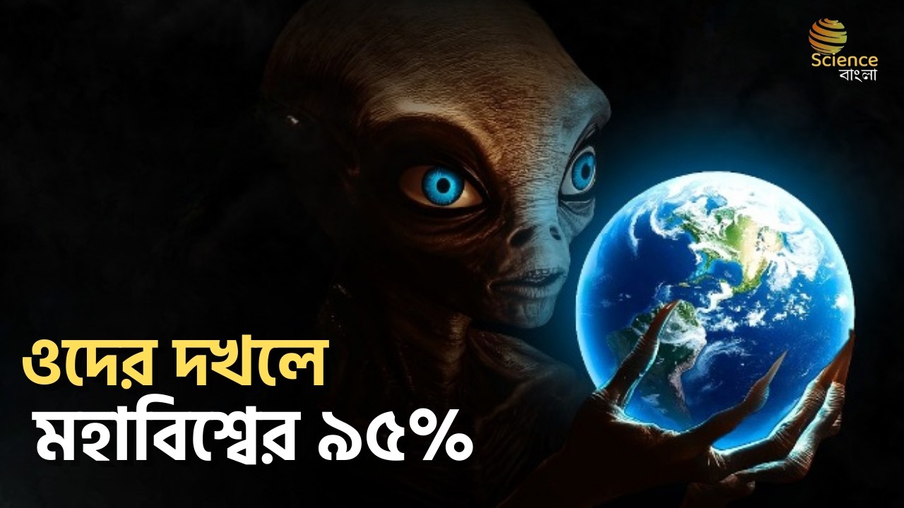 মহাবিশ্বের ৯৫% ওদের দখলে? ওরা আছে।  | Island Multiverse