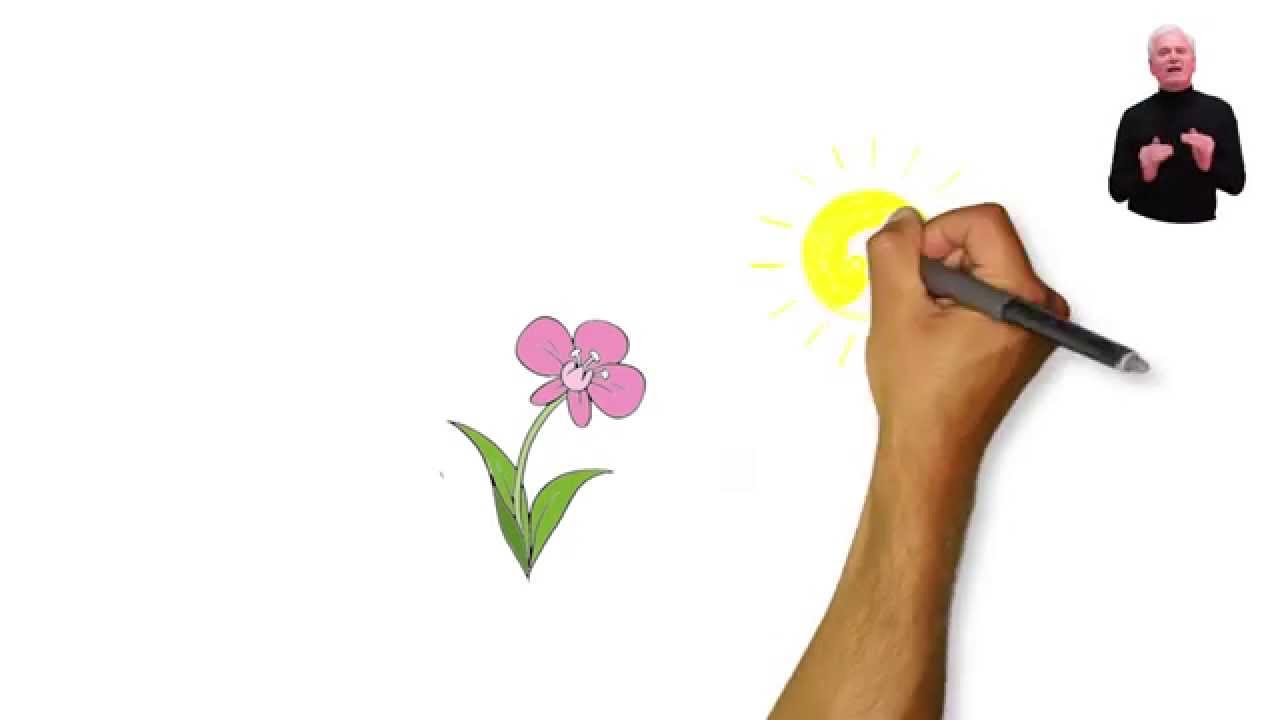 EDUKATIVNI KLIP - Šta je diskriminacija?