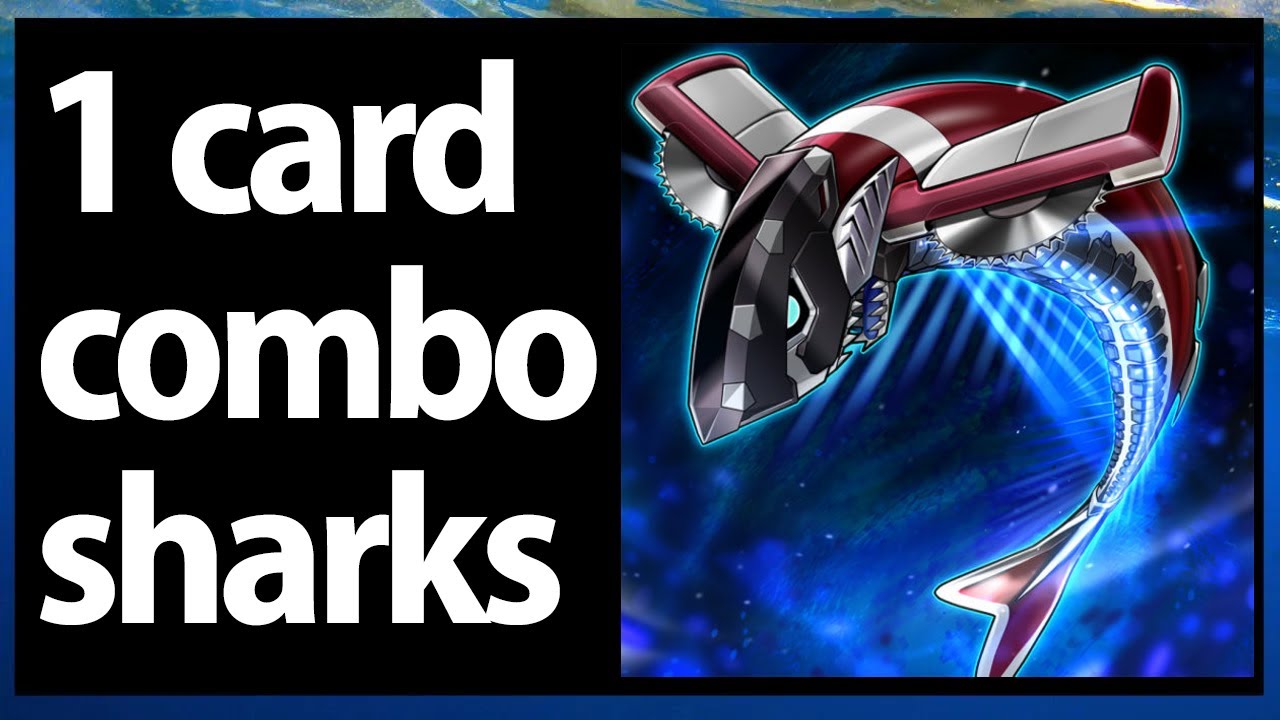HUGE 1 card buzzsaw shark combos for plenty interruptions! post support yugioh