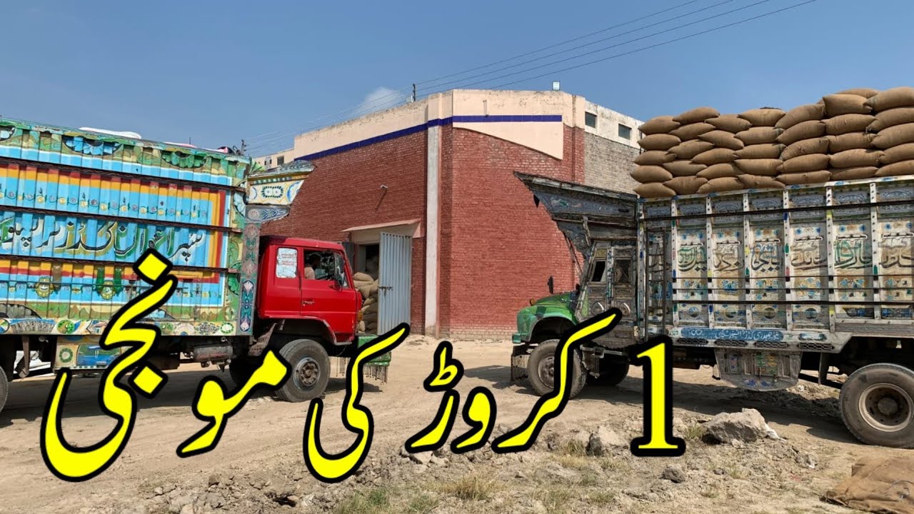 Paddy purchasing at Ansari Rice mills
