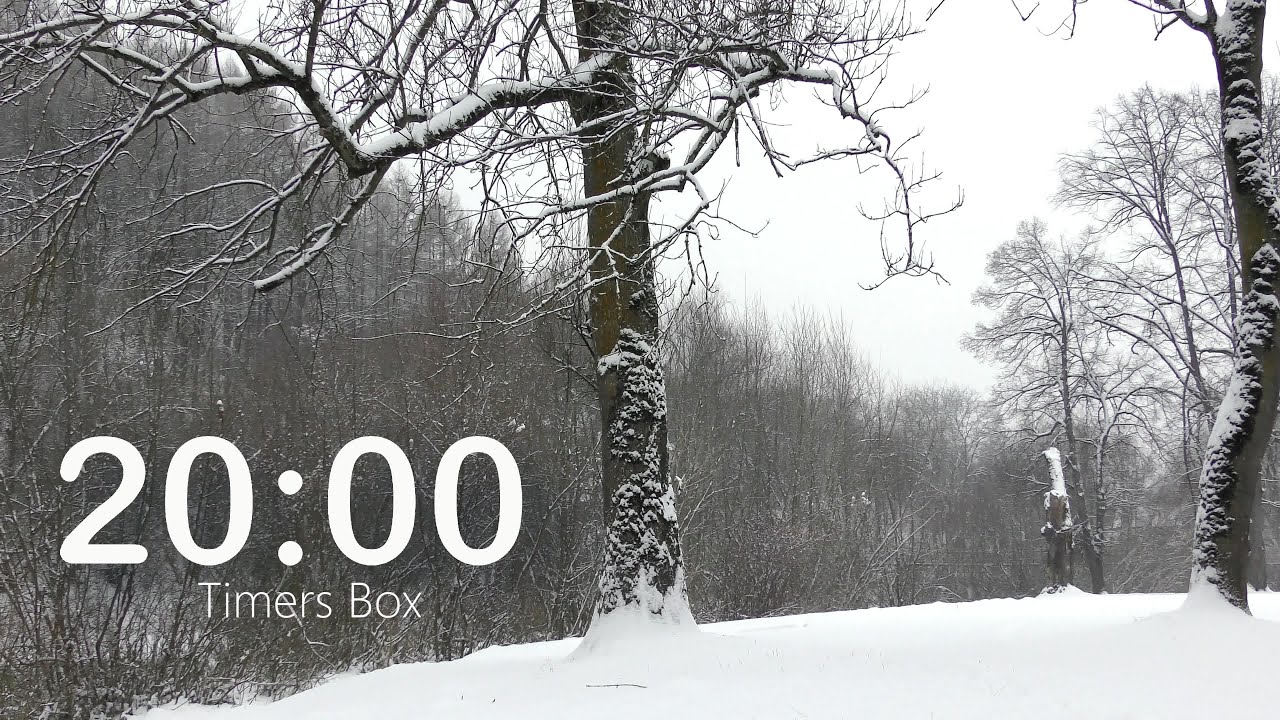 20 Minute Winter Timer - Calm & Relax with Soothing Music ❄️ Teachers, Class, Study, Focus, Meditate