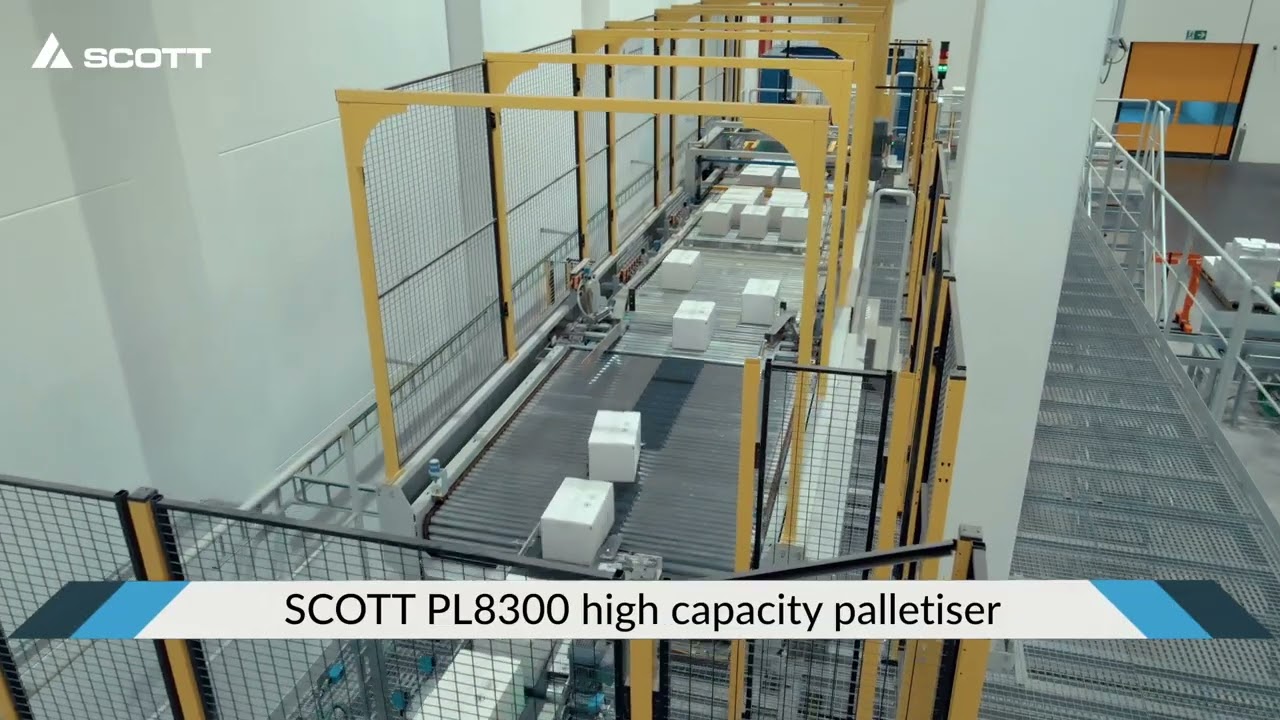 Multi-line palletising system for boxes of frozen vegetables (Westfro, Belgium)