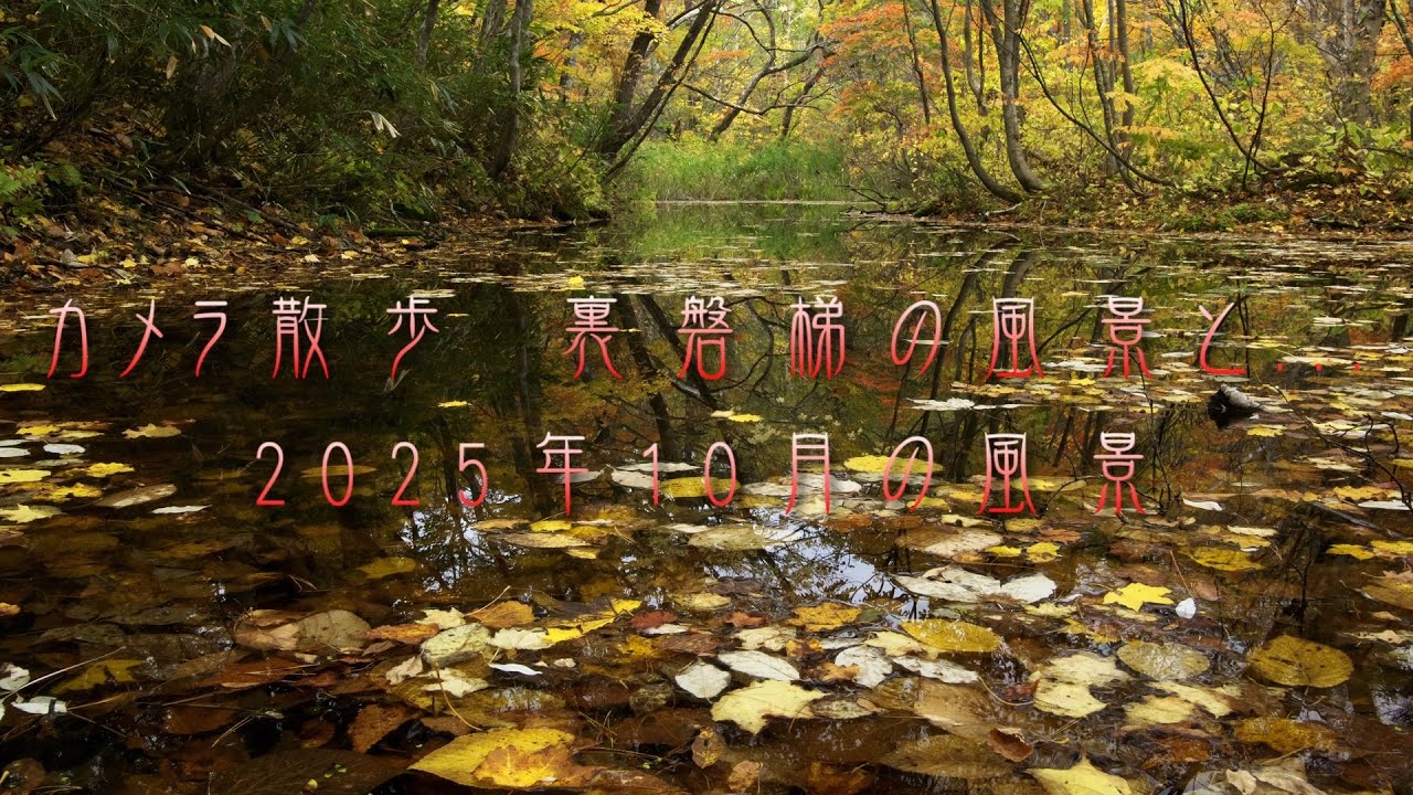 カメラ散歩　裏磐梯の風景と... 2025年10月の風景