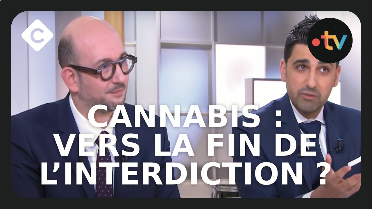 Cannabis : vers la l&eacute;galisation en France ? - C &agrave; Vous