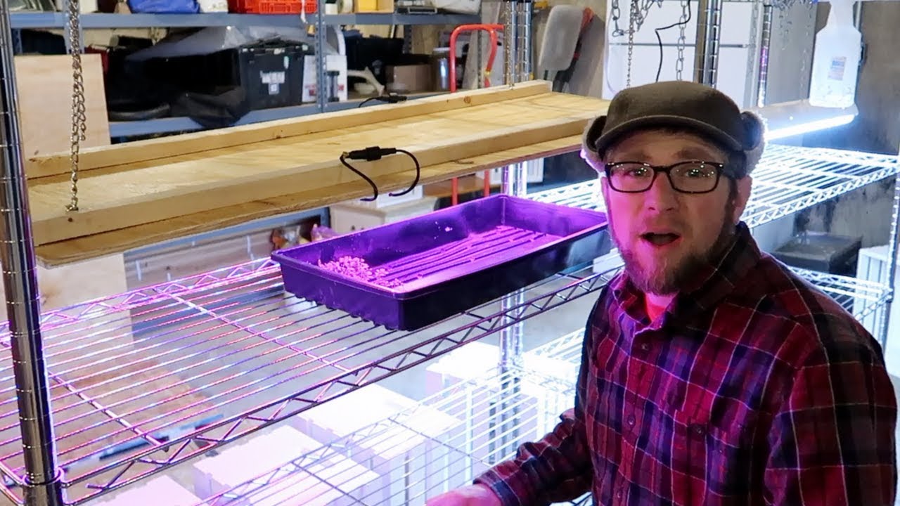 Best LED Customizable Grow Light System (Solmore LED Grow Lights)