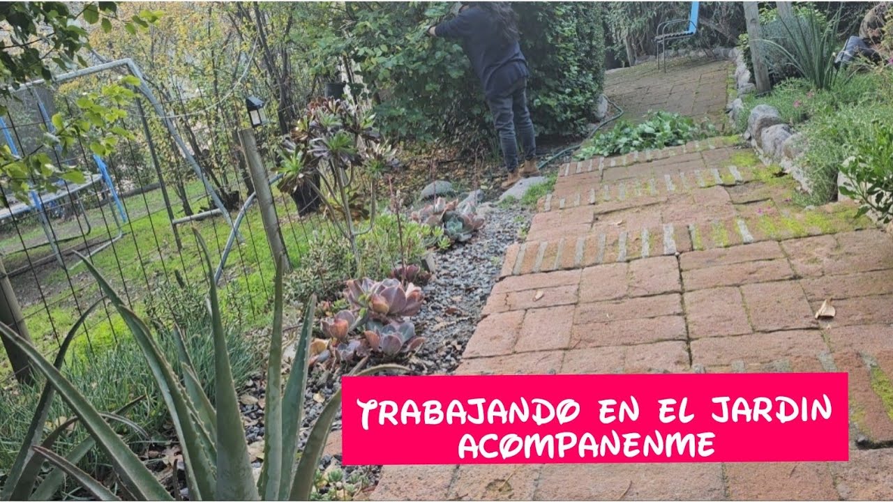 Tarde de jardín, 