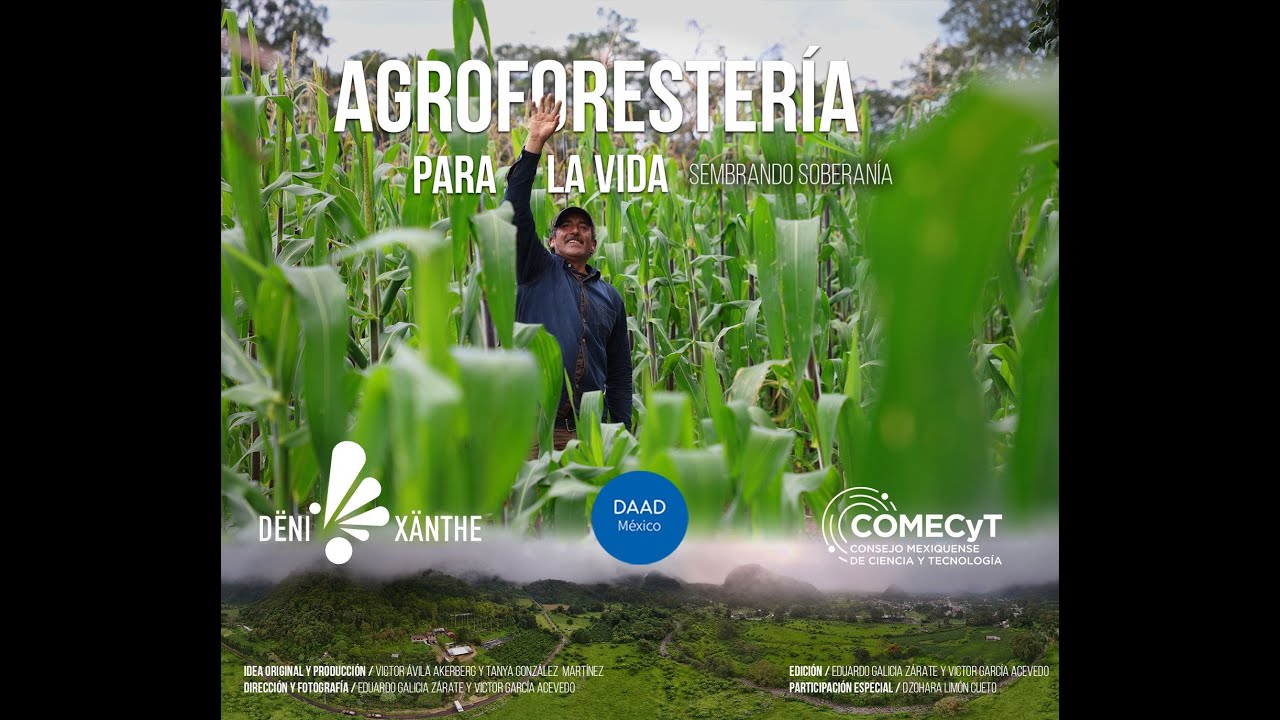 Agroforestería para la vida. Sembrando soberanía